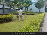 南寧第45屆體操世界錦標(biāo)賽主賽場、訓(xùn)練場病媒生物防制工作